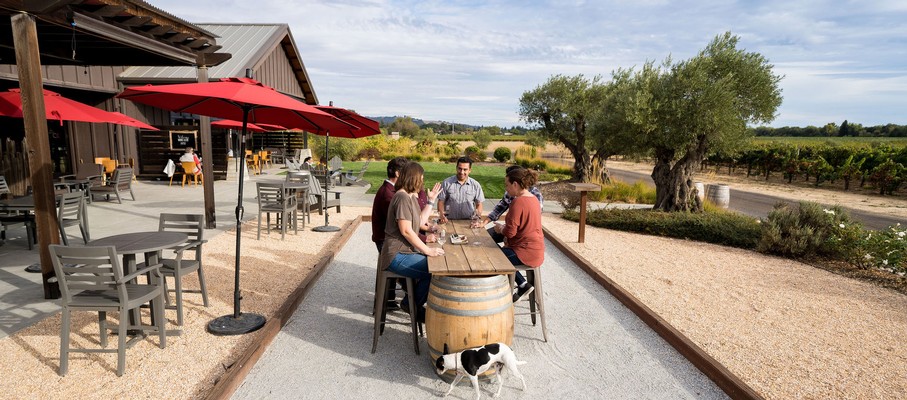 Group of people enjoying wine tasting outdoors at a vineyard with tables and umbrellas.