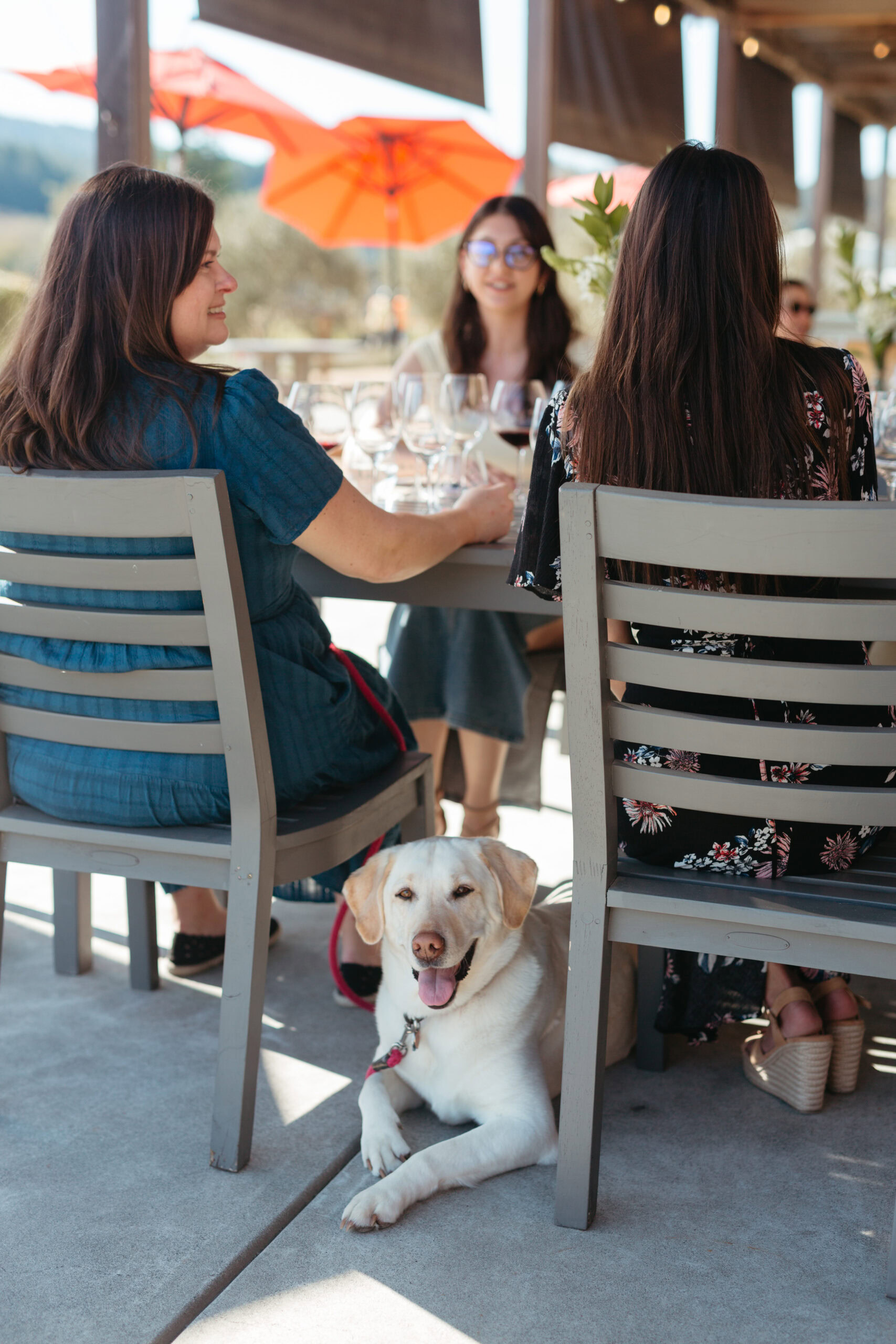 Women dining outdoors with a dog under an orange umbrella at a winery or restaurant.