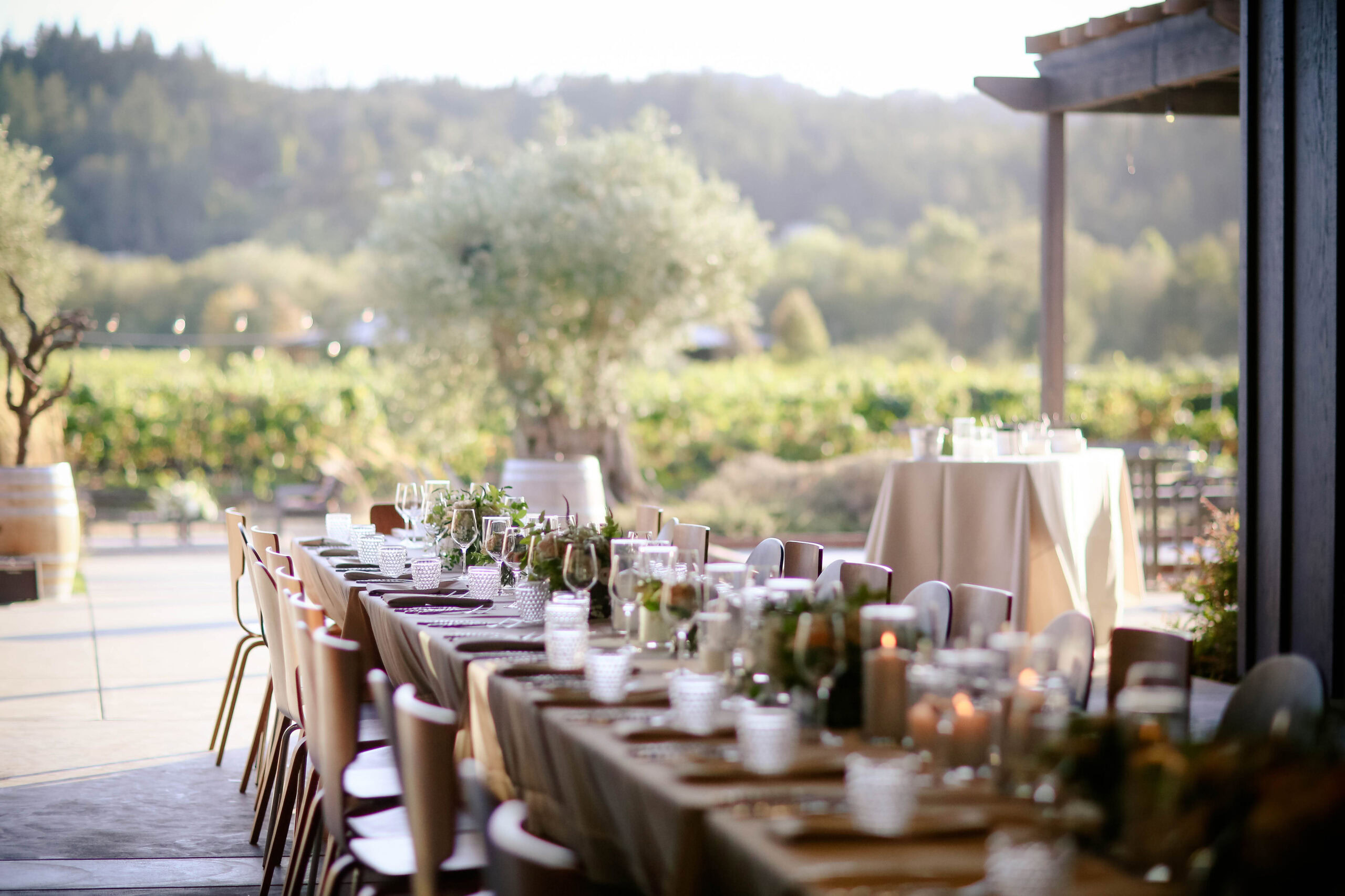 Elegant outdoor dining setup with a long table, chairs, and wine glasses at a vineyard event.